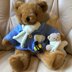 Teddy in Blue