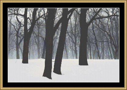 FOREST SNOW  