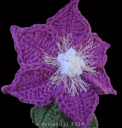 Collection of Clematis flower crochet