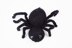 Deramores Spider and Web PDF