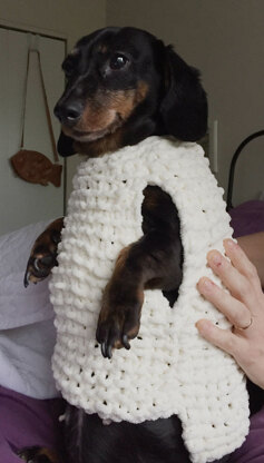 Easy knit dog sweater