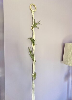 Tillandsia Garden Hanger