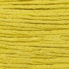 Paintbox Crafts 6 Strand Embroidery Floss 12 Skein Value Pack - Soft Lime (262)