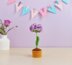 Carnation flower