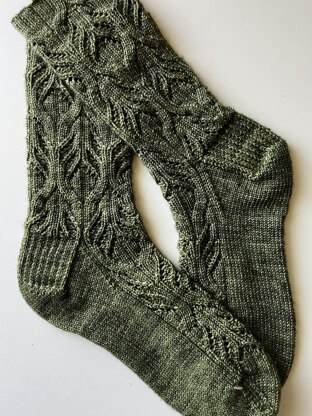 Hoya Socks