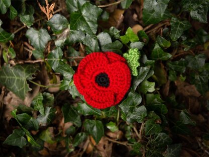 Crocheted Poppy