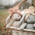 Lulu The Little Bunny: back and forth method