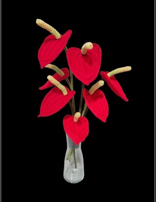 Anthurium flower