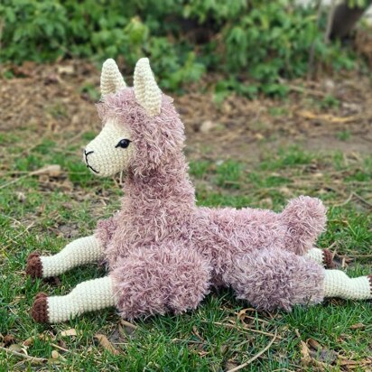 Lounging Llama