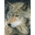 Royal Brush Color Pencil By Number Kit 8.75"X11.75" - Curious Eyes