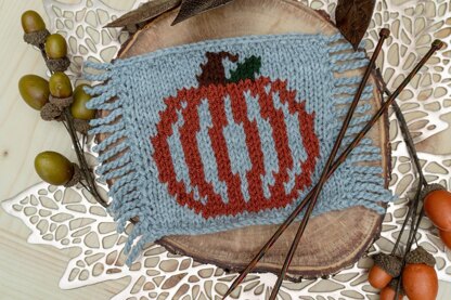 Pumpkin Mug Rug Knit