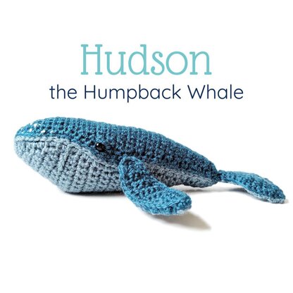 Hudson the Humpback Whale