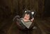 Newborn Fuzzy Wolf Hat and Unattached Tail Prop