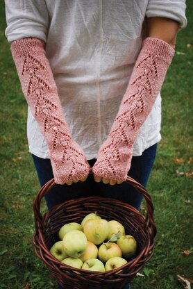 The Landlady's Fingerless Gloves