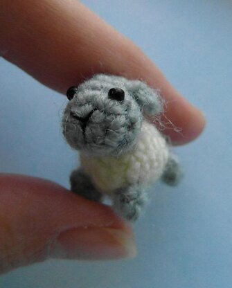 Oh, so tiny! Sheep