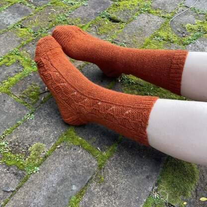 Gingernut Socks TJD15