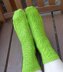 Ashill Socks