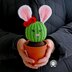 Penny the Bunny Cactus
