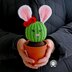 Penny the Bunny Cactus