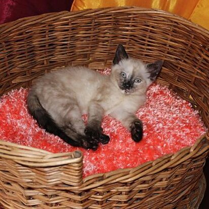 Cat Basket Fluffy Cushion (Pillow) - knitting pattern