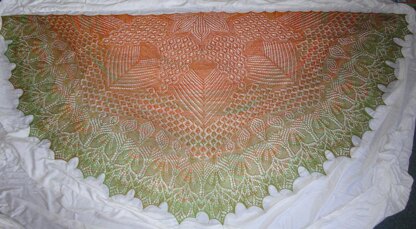 Home on the Range Lace Shawl