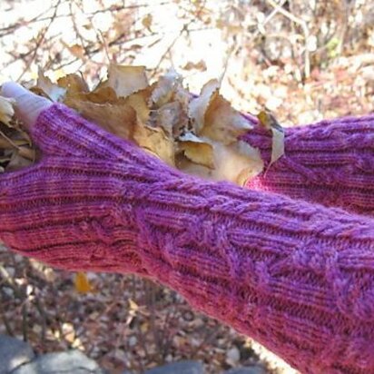 Vertigo Fingerless Gloves