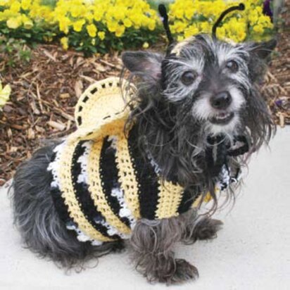 Dog's Crochet Bumble Bee Costume in Red Heart Super Saver Economy Solids - WR1094