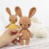 Little Ballerina Bunny
