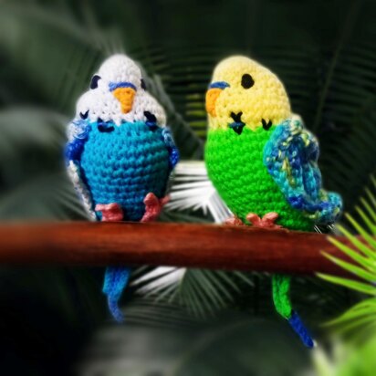 Budgie * Parakeet * Parrot