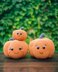 Cute Pumpkin Family