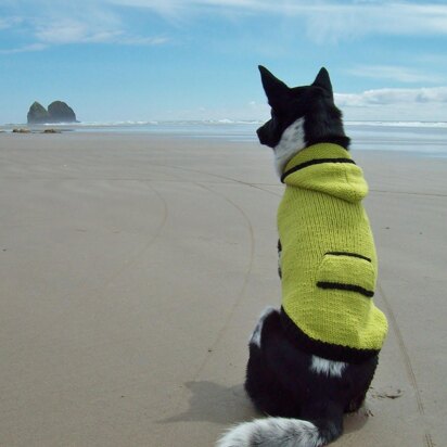 Canine Hoodie - knitting pattern