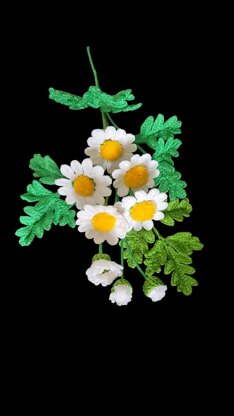 Crochet white Daisy flowers