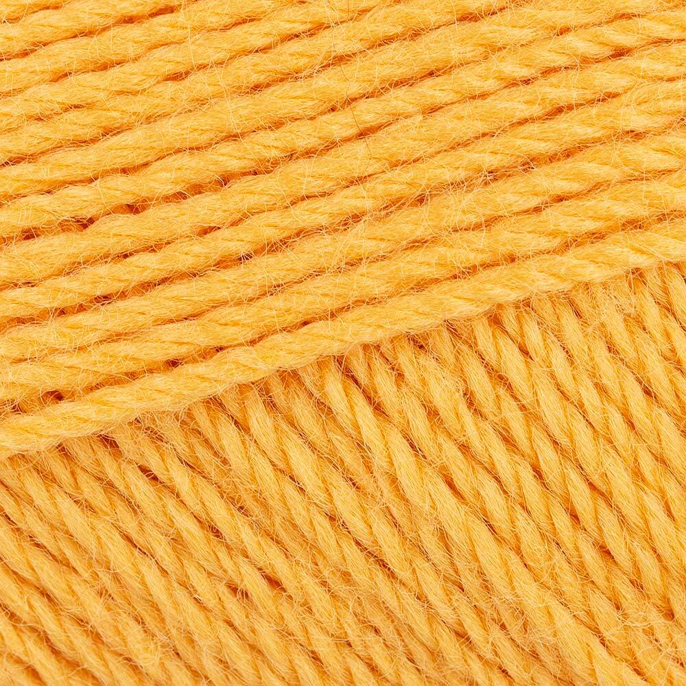 Amplified Amber (103)