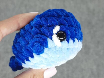 Whale worry pet