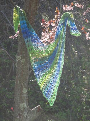 Free Spirited Shell Shawl