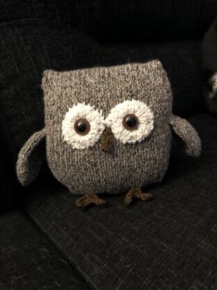 Owl - Toby