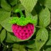 Raspberry with sepal