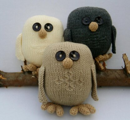 A Trio of Owls