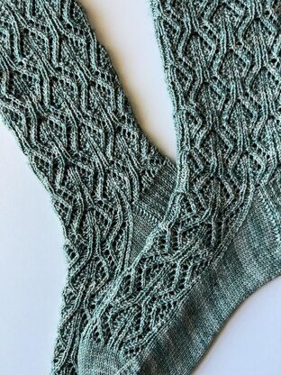 Syngonium Socks