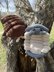 Plush Roly Poly Pill Bug