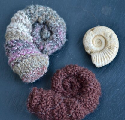 Ammonite