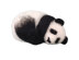 The Crafty Kit Company Sleepy Panda Needle Felting Kit - 190 x 290 x 94mm