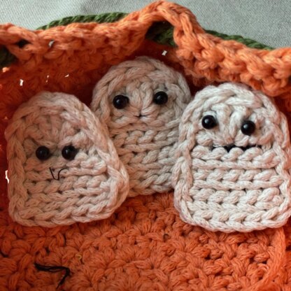 Halloween Pumpkin Bag of Ghosts