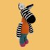 Zara the Zebra
