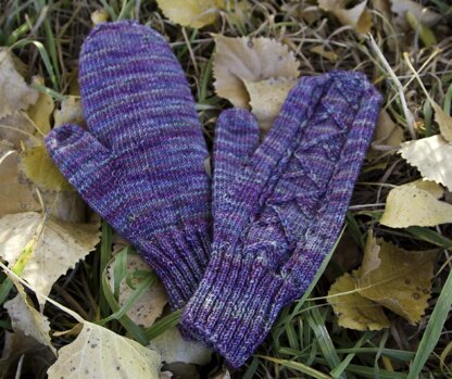 Northern Lights Mittens