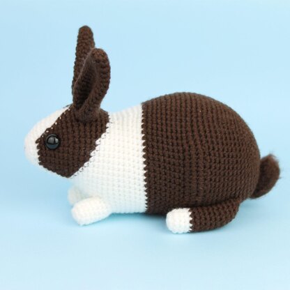 Dutch rabbit