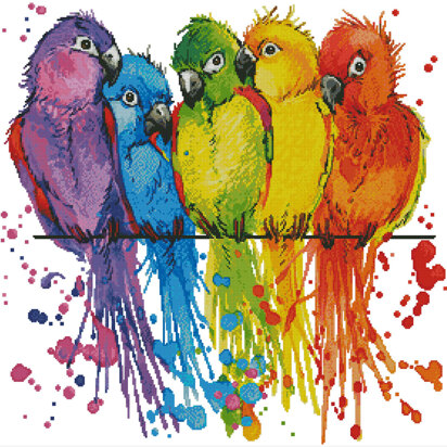 Colourful Birds