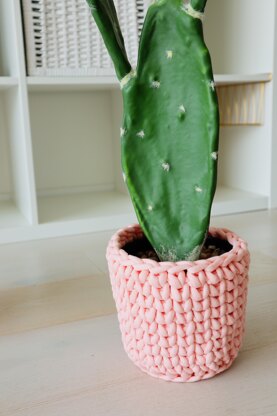 The Cactus Cozy