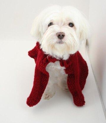 P05 Dog Clothes Puppy Red Riding Hood