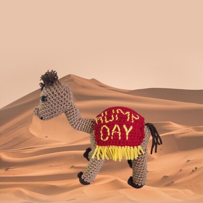 Hump Day Camel